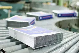 تقلیل نظارت مردمی به خبرچینی
