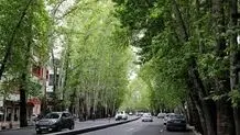 نگرانی‌های سبز تهران
 در ولیعصر
