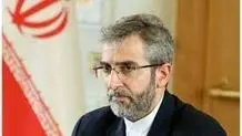باقری: ایران نباید از کنار موضوع زنگه زور عبور کند
