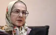 قانون عفاف و حجاب یکی از مصادیق خشونت علیه زنان است/ خشونت نباید تبدیل به قانون شود