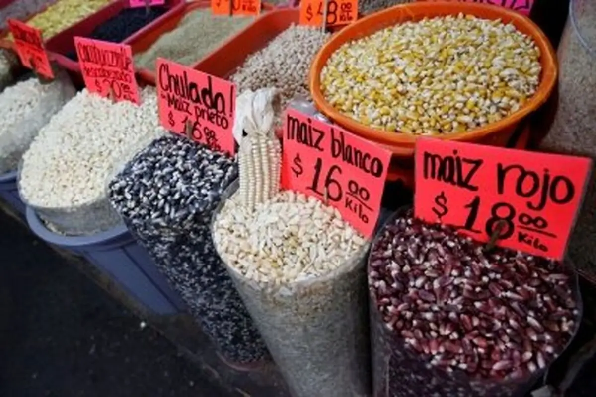 صعود شاخص قیمت جهانی مواد غذایی

