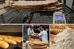 درتهران سهمیه‌بندی آرد برداشته شد/ افزایش سهمیه در استان‌های مسافرپذیر