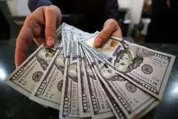 امکان ریزش دلار در سال آینده/ افرادی که پارسال همین موقع دلار خریدند، ضرر کردند

