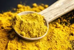 گیاهان و ادویه‌های جادویی برای تقویت حافظه
