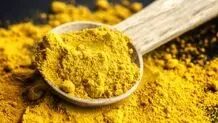 گیاهان و ادویه‌های جادویی برای تقویت حافظه
