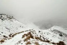 کوهنوردان بخوانند/ برف و باد در ارتفاعات