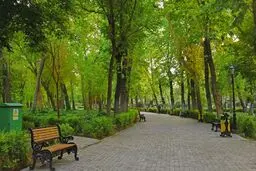 پارک لاله؛ جست‌وجوی هویت در سایه‌های سبز