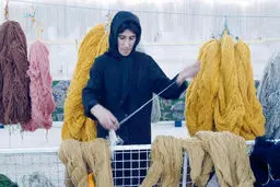 زنان و نابرابری