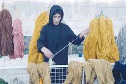 زنان و نابرابری