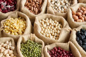 حبوبات باز هم رکورد گرانی را شکست