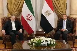 گفتگوی عراقچی و وزیر خارجه مصر در سازمان ملل