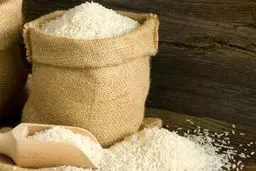 عرضه برنج وارداتی آغاز شد