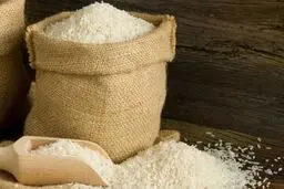 عرضه برنج وارداتی آغاز شد