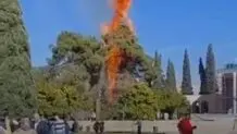 آتش‌سوزی در محوطه آرامگاه سعدی مربوط به دو درخت کهنسال است

