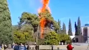 آتش‌سوزی در محوطه آرامگاه سعدی مربوط به دو درخت کهنسال است
