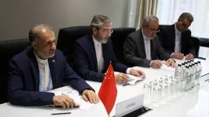 BRICS enjoys initiative in multilateralism: Iran’s official