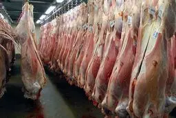 جزئیات جدید از عرضه گوشت تنظیم بازار
