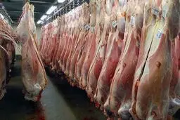 جزئیات جدید از عرضه گوشت تنظیم بازار

