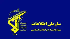 انهدام یک شبکه سازمان یافته ضدامنیتی در کرمان