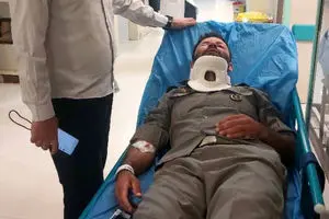 ضرب و شتم محیط‌بان شمیرانات توسط متعرضان غیرمجاز