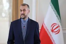 توضیحات امیرعبداللهیان درمورد علت تاخیر سفر رئیسی به ترکیه

