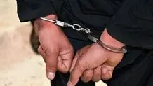 بازداشت فیلمبردار صحنه قتل دکتر مسعود داوودی
