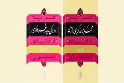 تاریخی‌کردن ادبیات