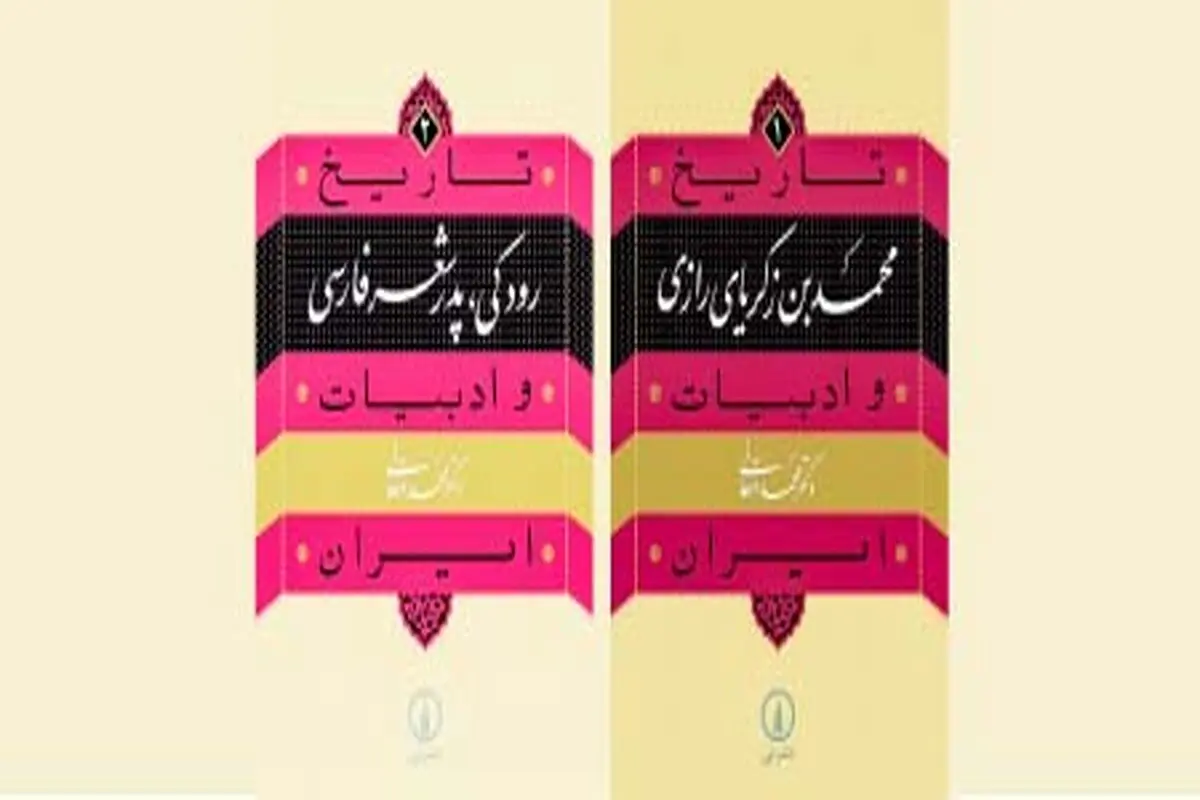 تاریخی‌کردن ادبیات