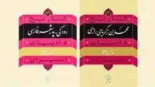 تاریخی‌کردن ادبیات
