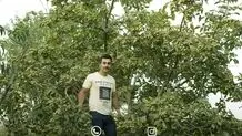 طلای سبز ایران کشف شد