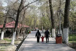ماجرای قطع درختان پارک ستارخان چیست؟/ عکس
