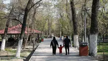 واکنش شهرداری تهران به ماجرای خبرساز قطع درختان پارک ستارخان