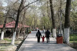 ماجرای قطع درختان پارک ستارخان چیست؟/ عکس