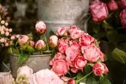 سبدهای گل، میلیونی شد

