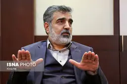 کمالوندی: بازرسان آژانس بر تعویض سوخت نیروگاه اتمی بوشهر نظارت می‌کنند

