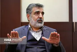 کمالوندی: بازرسان آژانس بر تعویض سوخت نیروگاه اتمی بوشهر نظارت می‌کنند

