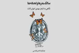 سالک مغزها و لحظه ها

