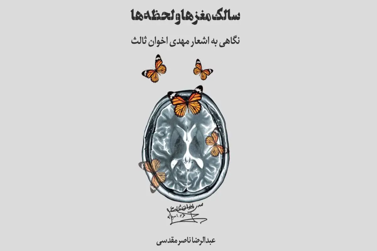 سالک مغزها و لحظه ها

