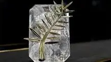سقوط یک درخت نخل روی پیاده‌رو در جشنواره کن/ یک عابر پیاده زخمی شد