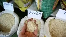 برنج کیلویی ۲۴۵ هزار تومان