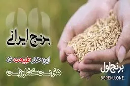 بزرگترین تولیدکننده کارخانه برنج عمده ایران