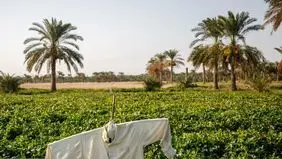 شاخص آلودگی هوای خوزستان امروز یکشنبه ۱۴ دی ۱۴۰۴