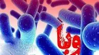 یک مورد ابتلا به بیماری وبا در سقز شناسایی شد

