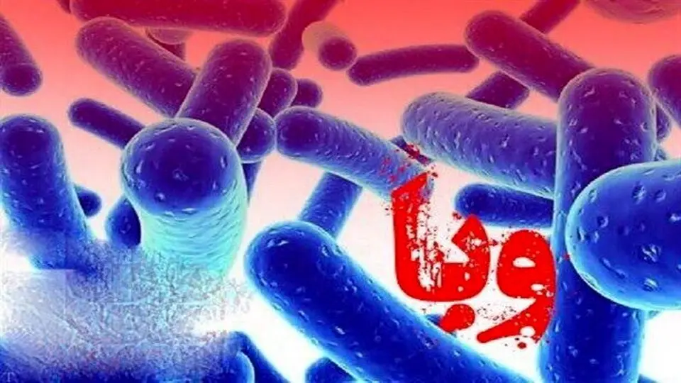 یک مورد ابتلا به بیماری وبا در سقز شناسایی شد

