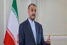 IAEA must stop political behaviors: Amir-Abdollahian