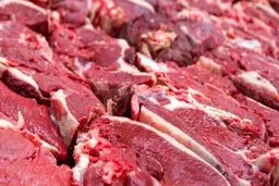 واردات گوشت؛ نسخه موقت یا راه‌حل پایدار؟