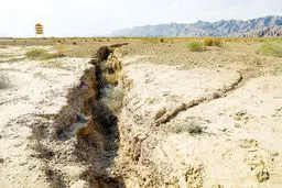 یک‌سوم خاک مرغوب جهان از  بین رفته است