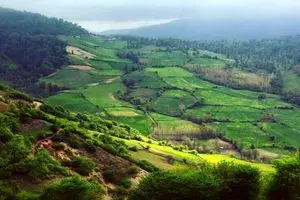 پیش بینی هوای مازندران فردا 30 فروردین 1405/ افزایش دما