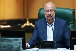 ‌ «صیانت» این بار در زمین دولت
