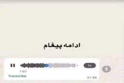 اولین پیام صوتی پژمان جمشیدی پس از رسیدن به کانادا؛ هیچ دفاعی از خود ندارم!  + فیلم